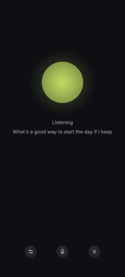 Voice chat preview